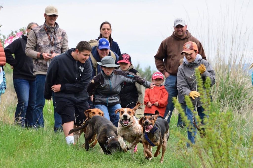 Youth Skills Day - Houndsmen (F&G) proposals.